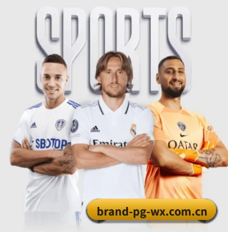 五大服务分区,信息按项目分类（PG）